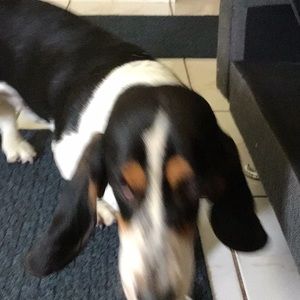 Meet your Posher, Chloe